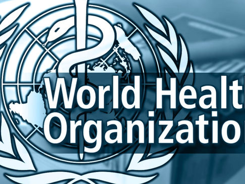 Amendments to WHO’s International Health Regulations: An Annotated Guide